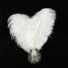 White Ostrich Feathers Craft Pack - 10pcs, 16-18 inch for Wedding, Party, DIY Decor - Buy Online on GoSupps.com
