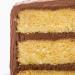 Miss Jones Baking Organic Yellow Cake Mix - Non-GMO, Vegan-Friendly, Moist & Fluffy - Vanilla Flavor 15.87 oz - Buy Online on GoSupps.com