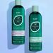 HASK Tea Tree Oil & Rosemary Invigorating Shampoo + Conditioner Set - Color Safe, Gluten-Free, Sulfate-Free - Buy Online on GoSupps.com