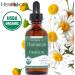 Herb Lore Organic Chamomile Tincture - Liquid Chamomile Drops for Babies & Adults - Melatonin-Free Sleep Supplement (2 fl oz) 2 Fl Oz (Pack of 1) - Buy Online on GoSupps.com