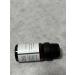 Biuhorey Essential Oils Plant Eucalyptus 100% Pure Natural Aromatherapy 10 mL (1/3 oz) - Buy Online on GoSupps.com
