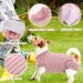 Breathable Post-Surgery Dog Body Suit - Hjumarayan XXL Pink Striped Castration Recovery for Small & Medium Dogs - Buy Online on GoSupps.com