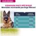 Eukanuba Dog Dry Food German Shepherd Chicken 12 kg - Buy Online on GoSupps.com