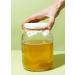 Buy Koro Bio Kombucha SCOBY Premium Quality & Fast International Shipping - Buy Online on GoSupps.com