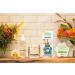 One for All Pet House Candle - Evergreen Forest | 100% Non-Toxic & Eco-Friendly Air Freshener | Remover for Home Odors - Buy Online on GoSupps.com