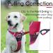 Thinkpet No-Pull Dog Harness | Breathable Adjustable Safety Harness for Small Medium & Large Dogs | Padded Reflective Running Harness Bright Red 2XL (1 Pack) - Buy Online on GoSupps.com