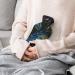 Shop Peacock Feathers Hot Water Bottle with Plush Cover - Ideal Hand Warmer for Adults & Kids (26.5x15.3cm) | International Shipping Available - Buy Online on GoSupps.com
