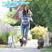 Firtink Dog Collar Clips 4 Pcs Reflective Nylon Collar Leash Adjustable Safety Dog Collar Clip Double Ended Backup Clasp Clip for Dog Harness Pet(Black Blue Pink Grey) - Buy Online on GoSupps.com