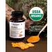 Nutrigent USDA Organic Turmeric Curcumin Supplement, Turmeric Extract with Curcuminoids 300 mg, Liquid Organic Capsules, Antioxidant, Bone & Joint Support, No-Gluten, 60 Count - Buy Online on GoSupps.com