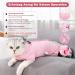 Lollanda Katzenbody - Surgical Recovery Suit for Cats After Castration | Comfortable Recovery Outfit for Abdominal Wounds (Pink XS) - Buy Online on GoSupps.com