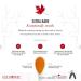 Escuminac Canadian Maple Syrup Value Bundle - 3 Harvests, Extra Rare & Organic - 16.9 fl oz x 3 Pack - Buy Online on GoSupps.com