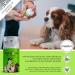 Moofurr Dog Toothpaste 75ml | Plaque & Tartar Remover | Magnolia Bark Dental Care Gel for Dogs - Buy Online on GoSupps.com