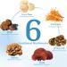 Mushroom Coconut Creamer with Bovine Colostrum Powder Coffee Creamer Powder | 6 Adaptogenic Mushrooms and Ceylon Cinnamon | Supports Immunity & Gut Health | Gluten-Free Non-Gmo 6.35 Oz - Buy Online on GoSupps.com