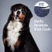 Four Paws Magic Coat Deluxe Love Glove for Dogs with Tender Tips - Grooming Made Easy - Buy Online on GoSupps.com
