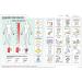 Vidatak EZ Board - Spanish Patient Communication Picture Symbol Board - Buy Online on GoSupps.com