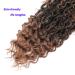 6 Packs 22 Inch Curly Faux Locs Crochet Hair - Boho Style Goddess Locs Synthetic Braids - T1B/30 (Pack of 6) - Buy Online on GoSupps.com