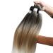 Ancient Lichenhaar Easy Braid - Professional Itch-Free Synthetic Fiber Crochet Hair Extensions (6 Packs 26 Inch 1B/27/613#) - Buy Online on GoSupps.com
