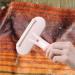Rockible Pet Grooming Brush & Textile Cleaning Tool - Eco-Friendly 2 PCS for Perfect Pet Care - Buy Online on GoSupps.com