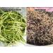 SM Rajsthani Sangri s ch 200 g | Haricots secs | Sukhi Thin Marwari Sangri bien transform  - Buy Online on GoSupps.com