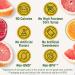 Del Monte Fruit Refreshers Grapefruit & Oranges in Pomegranate Fruit Water, 7 Ounce (Pack of 2) - Sweetened Snack Cup - Buy Online on GoSupps.com