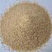 Buy Mills Green Spelt Meal 1000g - Fresh from R tze Mill | High-Quality Green Spelt Grains Ground for Baking & Cooking - Buy Online on GoSupps.com