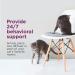 Comfort Zone 2 Refills Multi-Cat Pheromone Diffuser Refills (60 Days) For A Peaceful Home Veterinarian Recommended Stop Cat Fighting Reduce Spraying Scratching & Other Problematic Behaviors New 2X More Pheromones Multicat Formula - Buy Online on GoSupps.com