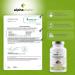 500mg Pine Bark Extract Capsules with OPC & Natural Vitamin C | Vegan High-Dose Lab Tested - 240 Pieces | Alpha Vitalis - Buy Online on GoSupps.com