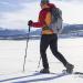Yukon Charlie's Pro Trekking Poles with Fast Lock Adjustment System - Includes Trekking and Snow Baskets - Buy Online on GoSupps.com