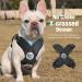 Pawaboo Dog Harness & Leash Set | Adjustable Anti-Train Vest for Small & Medium Dogs | Breathable Dog Vest - Large Black - Buy Online on GoSupps.com