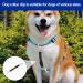 3 Pcs Dog Collar Clips Reflective Adjustable Dog Collar Clip Double Ended Connector for Dogs Lead Clips Double Ended Safety Pet Collar Clip for Dogs Puppy Pets - Buy Online on GoSupps.com