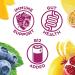 Humm Probiotic Kombucha Seasonal Variety Pack - Organic  2 Billion Probiotics for Gut Health - Watermelon Basil  Mango Passionfruit  and Blueberry Mint (12 Pack) 12 Fl Oz (Pack of 12) - Buy Online on GoSupps.com