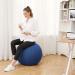 Fabric Covered Exercise Ball Chair for Home Office, Pregnancy, Yoga - Blue - Buy Online on GoSupps.com