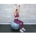 Wisemax Exercise Ball Chair Bundle - 65cm Gray with Ring Base, Resistance Bands, Pump, Carry Bag, Poster - Ideal for Home, Office, Gym Workouts - Buy Online on GoSupps.com