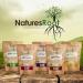 Organic Brahmi Powder - Ayurvedic Hair Growth Supplement (125g) - Buy Online on GoSupps.com