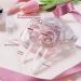 TATINO 4-Piece Clear Contact Lens Case Travel Set - Easy Flip Lid Compact Design Perfect for All Scenarios - Shop Now - Buy Online on GoSupps.com