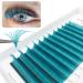 0.03/0.05/0.07 Easy Fan Volume Lashes | C/D/DD curl | Volume Lash Extensions (Green 0.07-D-Mix8-14mm) ALL-Green-007-D814