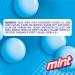 Mentos Chewy Mint Candy Roll  Mint  Non Melting  Party  14 Count (Pack of 15) - Packaging May Vary Candy Roll Mint 14 Count (Pack of 15) - Buy Online on GoSupps.com