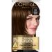 L'Oreal Paris Superior Preference Fade-Defying + Shine Permanent Hair Color  5G Medium Golden Brown  Pack of 1  Hair Dye