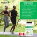 Renew Actives Coffee Bean Extract: 800mg Green Coffee Bean Extract Capsules for Weight Management Programs. Helps Support Cardiovascular Health & Provides Antioxidants - Vegan Supplement with 50% GCA - 90 Capsules. NON-GMO. Free of Dairy Soy & Sugar. (2 P - Buy Online on GoSupps.com