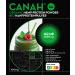 Canah Organic Hemp Protein Powder 3x1kg Vegan High in Protein Fibre Omega 3 & Omega 6 Amino Acids Vitamins and Minerals Certified Kosher + Free Bonus Recipes (Pack of 3) Unflavoured 3000 g Bio - Buy Online on GoSupps.com