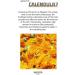 Weleda Baby Calendula Comforting Baby Oil - 6.8 fl oz | Plant Rich Care with Calendula, Sweet Almond & Sesame Oils - Buy Online on GoSupps.com
