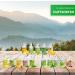 KK Sauna Infusion Concentrates Premium - German Pine Fragrance - 500ml Bottle - Wellness for Your Home - International Shipping Available - Buy Online on GoSupps.com