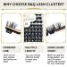 Buy BQ Lash Single Eyelash Clusters - 72 Colored DIY Lashes for Home Extensions (B06 D-14mm) - Perfect Black Eyelash Kit - Buy Online on GoSupps.com