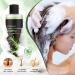 Rosemary Hair Shampoo Natural Thickening & Strengthening Shampoo Nourishing and Moisturizing Formula for Thin Dry Damaged Hair for Women and Men Pack of 2 - Buy Online on GoSupps.com