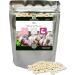 NAKURU | Antioxidant Pack | Moringa 90gls | Garlic 90gls | Blackcurrant 90cps | Analyzed and Packaged in France | Benefit from Natural Antioxidant Powers!  - Buy Online on GoSupps.com