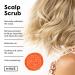 dpHUE Apple Cider Vinegar Scalp Scrub with Pink Himalayan Sea Salt - 9 oz | Natural Exfoliating & Dry Scalp Treatment with Aloe Vera & Avocado Oil | Gluten Free, Vegan | 1 Pack of 9 Ounce - Buy Online on GoSupps.com