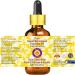 Deve Herbes Pure Sweet Wormwood Essential Oil (Artemisia annua) with Glass Dropper (Pack of Two) 100ml X 2 (6.76 oz) - Buy Online on GoSupps.com