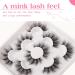 JIMIRE Flare Mink Lashes 10D Multi-dimensional Volume False Eyelashes - 5 Pairs - Buy Online on GoSupps.com