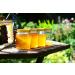 Raw Angel Root Honey 400g - Pure Unheated Natural Beekeeping Honey with Pollen & Beeswax - Buy Online on GoSupps.com