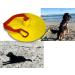 Beachgrip Dog Anchor - Lightweight & Durable Sand Accessory for Beach Lovers - Buy Online on GoSupps.com